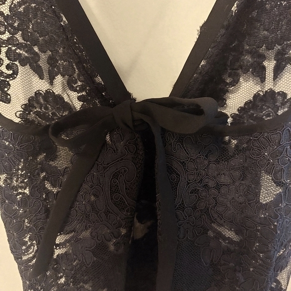 Babaton 1-01 Lace & Silk Tie Sheer Overtank● Size XS - Picture 5 of 9